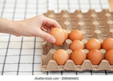 Chicken Brown Eggs Are In A Cardboard Box Bought At A Grocery Store. Healthy Breakfast. A Tray For Carrying And Storing Fragile Eggs. Woman Takes One Egg Out Of The Package With Her Hand