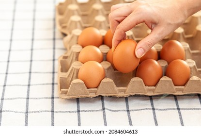 Chicken Brown Eggs Are In A Cardboard Box Bought At A Grocery Store. Healthy Breakfast. A Tray For Carrying And Storing Fragile Eggs. Woman Takes One Egg Out Of The Package With Her Hand