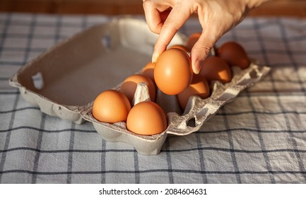 Chicken Brown Eggs Are In A Cardboard Box Bought At A Grocery Store. Healthy Breakfast. A Tray For Carrying And Storing Fragile Eggs. Woman Takes One Egg Out Of The Package With Her Hand