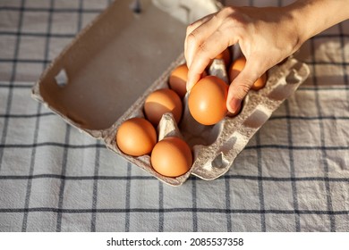 Chicken Brown Eggs Are In A Cardboard Box Bought At A Grocery Store. Healthy Breakfast. A Tray For Carrying And Storing Fragile Eggs. Woman Takes One Egg Out Of The Package With Her Hand