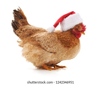 mini santa hats for chickens