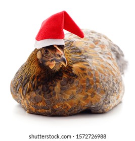 彡 [Cadeautopic] Secret Santa 2019 Chicken-christmas-hat-isolated-on-260nw-1572726988