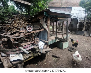 Coop Görseller Stok Fotoğraflar Ve Vektörler Shutterstock