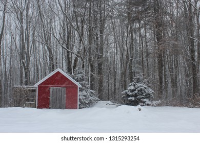 Chicken Coop Winter