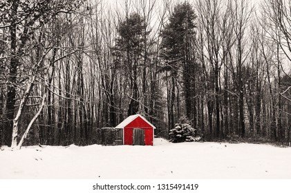 Chicken Coop Winter