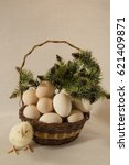 chicken with Easter eggs on background