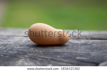 Chicken egg of abnormal shape and size