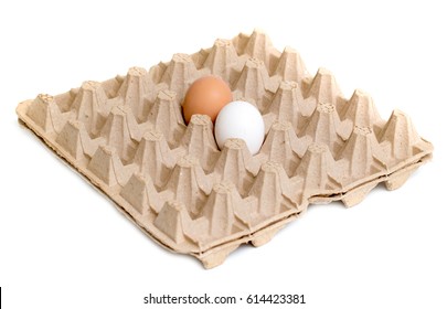 Chicken Egg In A Cardboard Tray