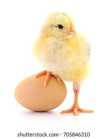 Huhn und Ei einzeln auf weißem Hintergrund.