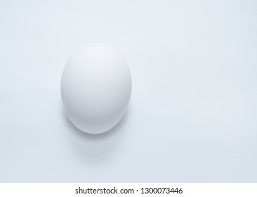 Chicken egg on a gray background. - Shutterstock ID 1300073446