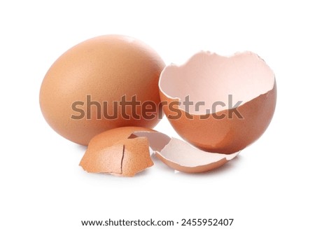 Chicken egg and pieces of shell isolated on white
