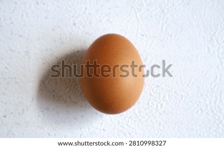 A chicken egg is positioned upright and placed against a white background.