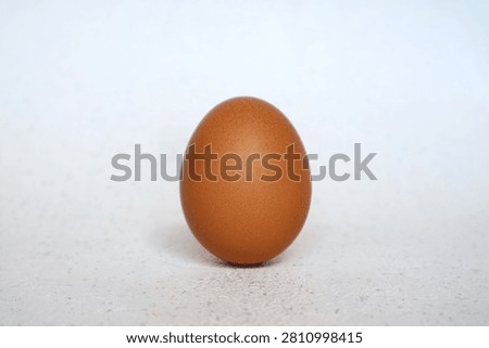 A chicken egg is positioned upright and placed against a white background.