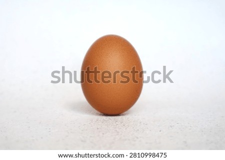 A chicken egg is positioned upright and placed against a white background.