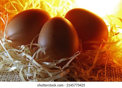 Chicken eggs in an artificial incubator