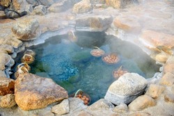 Chicken Eggs In Basket Of Tourists Boiled In Mineral And Natural Hot Water At Chae Son National Park Lampang, Thailand..