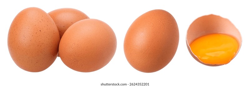 Huevos de pollo y huevo en cáscara de huevo medio aislado sobre un fondo blanco, foto de estudio macro de huevo, con ruta de recorte, colección