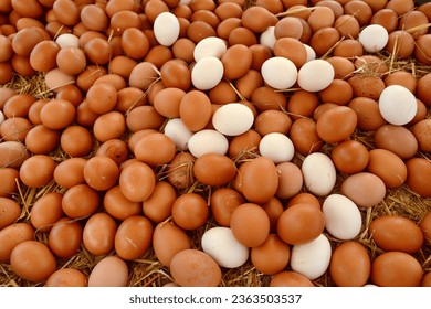 Chicken eggs, fresh, organic and ecological, white and brown, on a straw base in a wooden box for sale in a street market - Shutterstock ID 2363503537