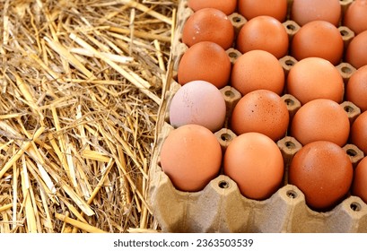 Chicken eggs, fresh, organic and ecological, white and brown, on a straw base in a wooden box for sale in a street market - Shutterstock ID 2363503539