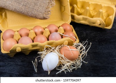 Chicken Eggs In Open Egg Carton Made Of Recycled Paper Pulp, Eggs On Wood Shavings Beside To Her On The Dark Surface 
