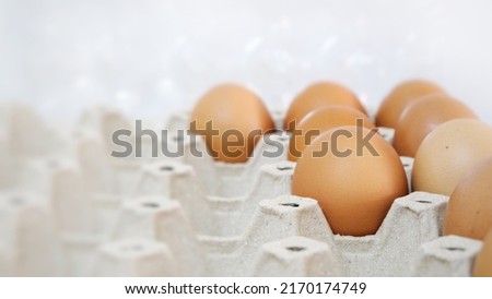 chicken eggs in a panel