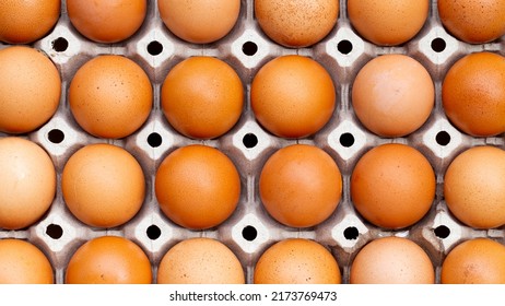 Chicken Eggs In Paper Egg Crate