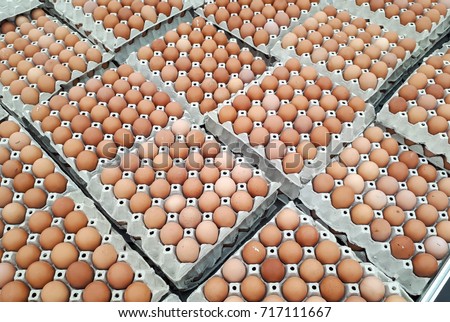 Chicken eggs in paper trays