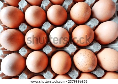 Chicken eggs placed in a cardboard tray. Safer from the risk of breaking. Upper angle photo. 
