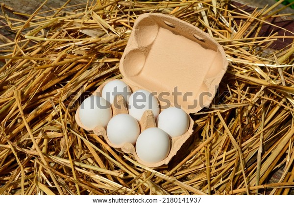chicken eggs in a tray and a hay closeup .Eggs\
in paper trays on table close-up\
.