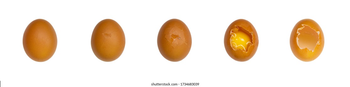 Chicken eggs with varying degrees of damage on a white background. Isolated top view, concept of different state of domestic eggs - Shutterstock ID 1734683039