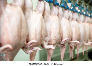 Chicken factory line