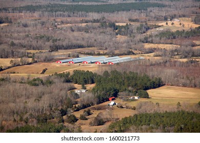 Chicken Farm Aerial Photo- Virginia