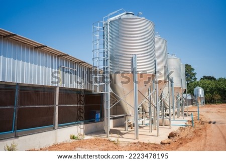 Chicken farm grain storage silos for the storage of poultry feed under blue sky