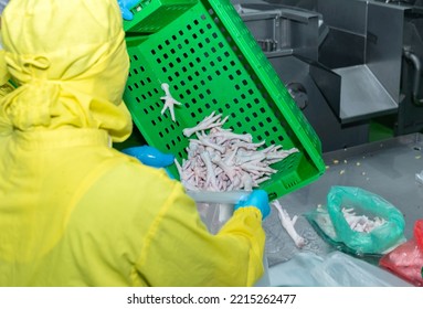 Chicken Feet Put In Bag After Cleaning And Reduce Temperature In Chiller Tank.