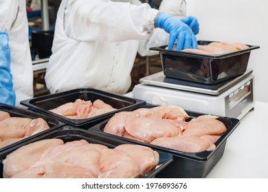 Chicken fillet production line . Meat processing equipment. Line for the production of semi finished meat products.Food processing chicken meat on conveyor belt for plastic packing - Powered by Shutterstock