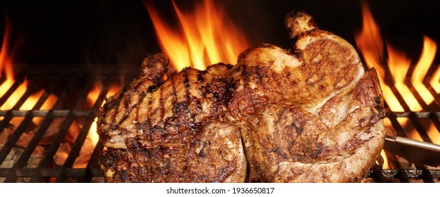 Chicken Grilled On Hot Barbecue Charcoal Flaming Grill. Juicy Whole Chicken Meat Roasted On BBQ Grill. Backyard Grill Party Dish From Poultry Isolated On Black Background, Closeup View.