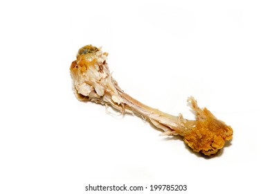 Chicken Leg Bone Isolated On White Background. Scrap Food