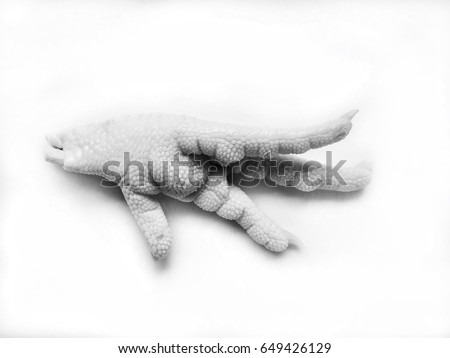 Similar – Image, Stock Photo 21 000 000 Fingers Hand 3