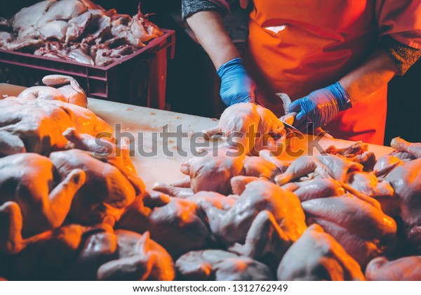 chicken meat\
production