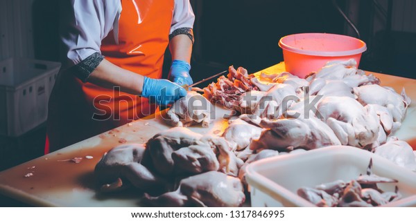chicken meat\
production