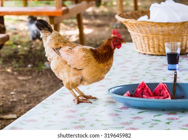 Chicken on the table