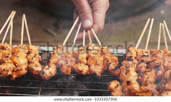Chicken Satay /\
Chicken satay  is grilled chicken skewers marinated with spices and\
served with peanut\
sauce.