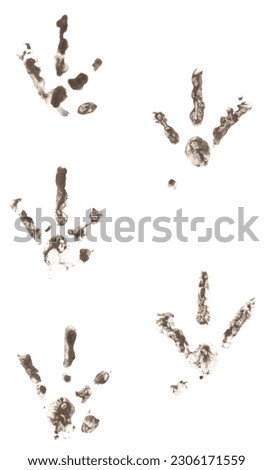 Chicken tracks made of dirt in a row isolated on a white background.