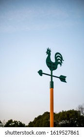 Chicken Weathervane, Rooster Weathervane. Meteorological Instrument.