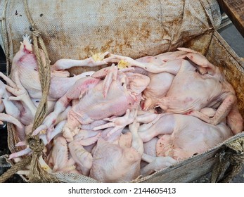 Chicken At The Wet Market Or Local Market. Fresh Chicken Meat From Farmers