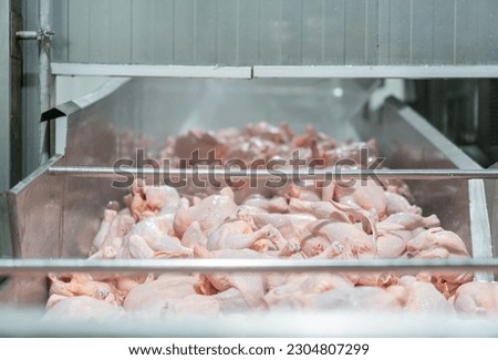 Chicken whole from chiller tank after reduce temperature and cleaning in process line.