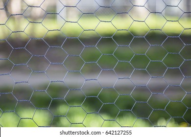 Chicken Wire Fence