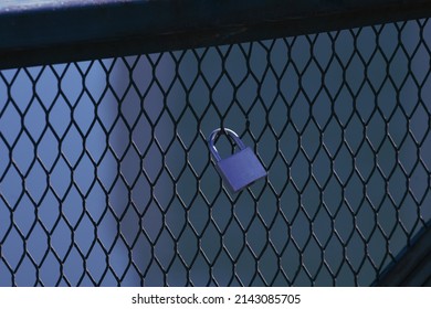 Chicken Wire Fence Gate Is Locked With A Chain And A Padlock.