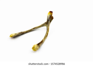 Chicken Wishbone Isolated On White Background.