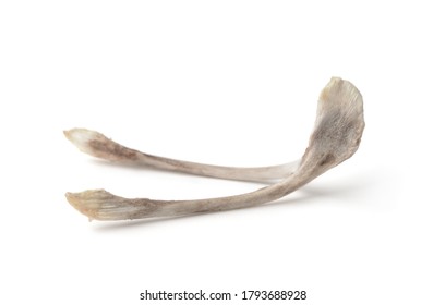 Chicken Wishbone Isolated On White